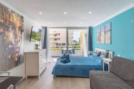 Studio Apartment in Borinquen Complex For Sale In Las Americas LP0661