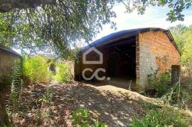 1 Hectare Farm with Housing and Annexes 20 Minutes from Viseu City Center