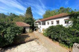 1 Hectare Farm with Housing and Annexes 20 Minutes from Viseu City Center