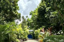 Hostel Beauty In A Tropical Setting