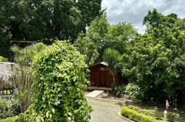 Hostel Beauty In A Tropical Setting