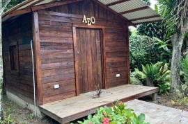 Hostel Beauty In A Tropical Setting