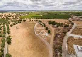 Land with 36 500 m2 for construction | Reguengos of Monsaraz