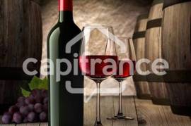 Dpt Essonne (91), à vendre SAVIGNY SUR ORGE Cave à vin
