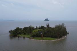 Private Island For Sale 21.5 rai (8.4 acres) - Koh Silamak, Klong Thom, Krabi