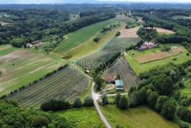 Sale, Sv. Ivan Zelina, Radoišće, a plot with a house and an outbuilding