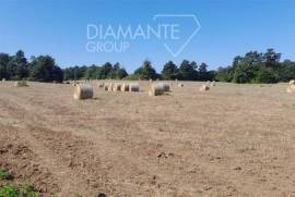 VT1786 Bis- Agricultural land with easy access