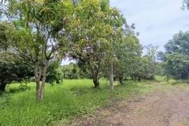 Land-Plot for sale in Bay-of-Matanchen Mexico