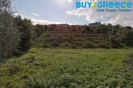 Land Plot for sale