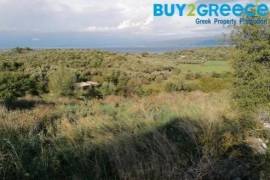 Land Plot for sale