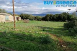 Land Plot for sale