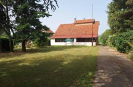 3 bedroom house in Krusedol Irig Serbia located in the foothills of Fruska Gora National Park – Wine