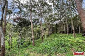 Over 3 Rai Land Plot with Rubber Plantation and Creek for Sale in Thalang