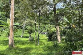 Over 3 Rai Land Plot with Rubber Plantation and Creek for Sale in Thalang