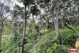 Over 3 Rai Land Plot with Rubber Plantation and Creek for Sale in Thalang