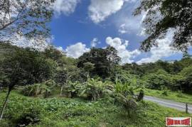 Over 3 Rai Land Plot with Rubber Plantation and Creek for Sale in Thalang