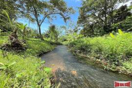 Over 3 Rai Land Plot with Rubber Plantation and Creek for Sale in Thalang