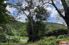 Over 3 Rai Land Plot with Rubber Plantation and Creek for Sale in Thalang