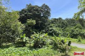 Over 3 Rai Land Plot with Rubber Plantation and Creek for Sale in Thalang