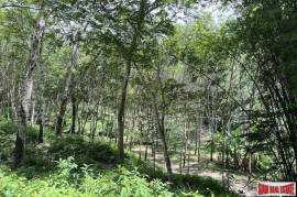 Over 3 Rai Land Plot with Rubber Plantation and Creek for Sale in Thalang