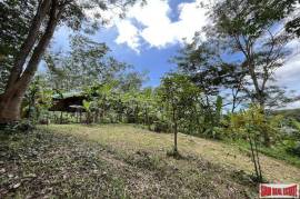 Over 3 Rai Land Plot with Rubber Plantation and Creek for Sale in Thalang