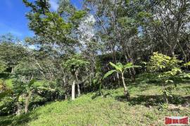 Over 3 Rai Land Plot with Rubber Plantation and Creek for Sale in Thalang