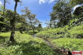 Over 3 Rai Land Plot with Rubber Plantation and Creek for Sale in Thalang