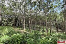 Over 3 Rai Land Plot with Rubber Plantation and Creek for Sale in Thalang