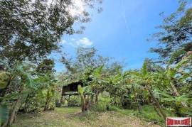 Over 3 Rai Land Plot with Rubber Plantation and Creek for Sale in Thalang