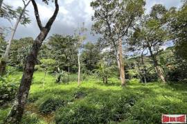 Over 3 Rai Land Plot with Rubber Plantation and Creek for Sale in Thalang