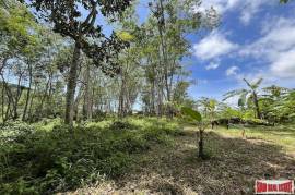 Over 3 Rai Land Plot with Rubber Plantation and Creek for Sale in Thalang