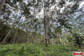 Over 3 Rai Land Plot with Rubber Plantation and Creek for Sale in Thalang