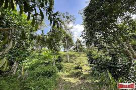 Peaceful 2 Rai, 3 Nga Land Plot with Small Waterfall for Sale in Thalang