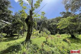 Peaceful 2 Rai, 3 Nga Land Plot with Small Waterfall for Sale in Thalang