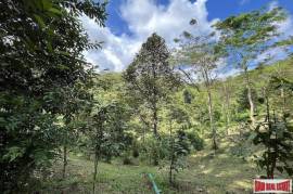 Peaceful 2 Rai, 3 Nga Land Plot with Small Waterfall for Sale in Thalang