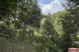 Peaceful 2 Rai, 3 Nga Land Plot with Small Waterfall for Sale in Thalang