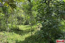 Peaceful 2 Rai, 3 Nga Land Plot with Small Waterfall for Sale in Thalang