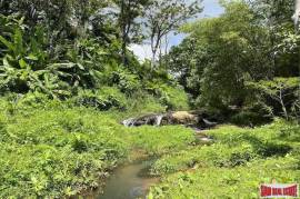 Peaceful 2 Rai, 3 Nga Land Plot with Small Waterfall for Sale in Thalang