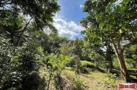 Peaceful 2 Rai, 3 Nga Land Plot with Small Waterfall for Sale in Thalang