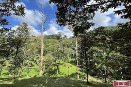 Peaceful 2 Rai, 3 Nga Land Plot with Small Waterfall for Sale in Thalang