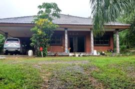 Almost 40 Rai of Palm & Rubber Plantation Land with House for Sale near Raman Waterfall, Phangnga