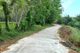 10.5 Rai Rubber Plantation with Irrigation Canal View for Sale in Khok Kloi, Phang Nga