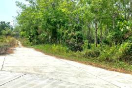 10.5 Rai Rubber Plantation with Irrigation Canal View for Sale in Khok Kloi, Phang Nga