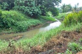 10.5 Rai Rubber Plantation with Irrigation Canal View for Sale in Khok Kloi, Phang Nga