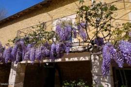 €529000 - Watermill In An Idyllic Setting