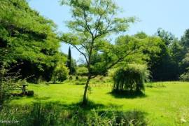 €529000 - Watermill In An Idyllic Setting