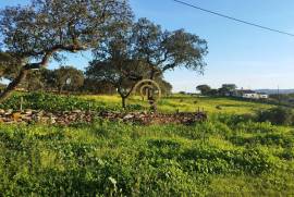 LAND WITH 13,250M2 IN CABEÇA DE CARNEIRO