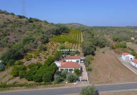 Small farm with 3 bedroom villa and garage