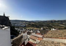 Casa Canto de Pajaro Townhouse