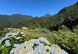 Flat plot with 1704 square meters located in Loural - São Vicente - Madeira Island